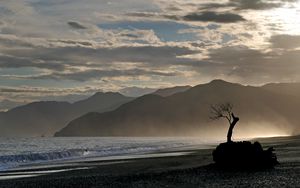 Preview wallpaper tree, branches, silhouette, mountain