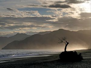 Preview wallpaper tree, branches, silhouette, mountain