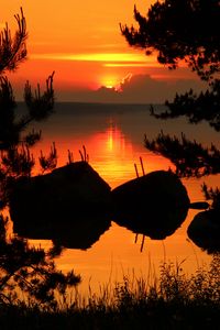 Preview wallpaper tree, branches, silhouette, river, sunset, dark