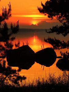 Preview wallpaper tree, branches, silhouette, river, sunset, dark