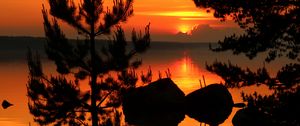 Preview wallpaper tree, branches, silhouette, river, sunset, dark
