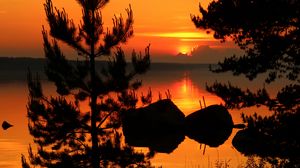 Preview wallpaper tree, branches, silhouette, river, sunset, dark