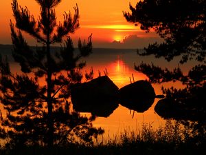 Preview wallpaper tree, branches, silhouette, river, sunset, dark