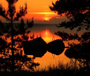 Preview wallpaper tree, branches, silhouette, river, sunset, dark