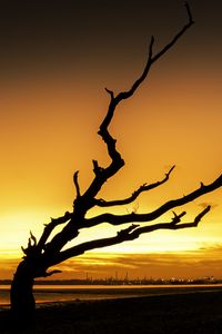 Preview wallpaper tree, branches, silhouette, sunset, dark