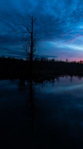 Preview wallpaper tree, branches, silhouette, river, reflection, evening