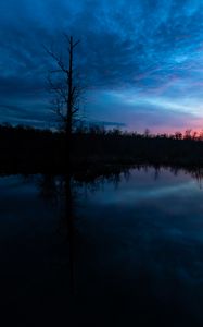 Preview wallpaper tree, branches, silhouette, river, reflection, evening