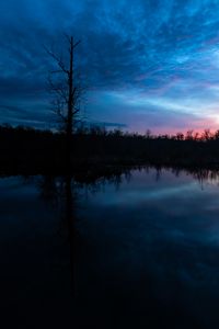 Preview wallpaper tree, branches, silhouette, river, reflection, evening