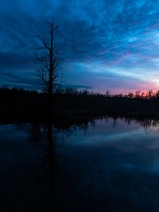 Preview wallpaper tree, branches, silhouette, river, reflection, evening