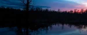 Preview wallpaper tree, branches, silhouette, river, reflection, evening