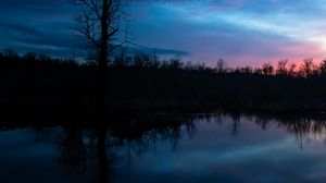 Preview wallpaper tree, branches, silhouette, river, reflection, evening