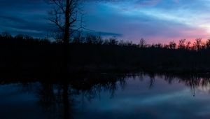 Preview wallpaper tree, branches, silhouette, river, reflection, evening