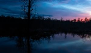 Preview wallpaper tree, branches, silhouette, river, reflection, evening