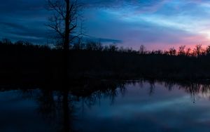 Preview wallpaper tree, branches, silhouette, river, reflection, evening