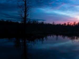 Preview wallpaper tree, branches, silhouette, river, reflection, evening