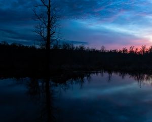 Preview wallpaper tree, branches, silhouette, river, reflection, evening