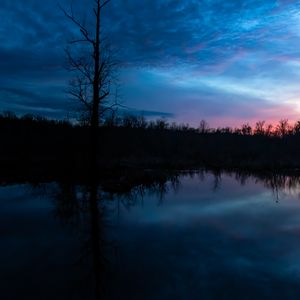 Preview wallpaper tree, branches, silhouette, river, reflection, evening