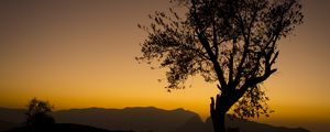 Preview wallpaper tree, branches, silhouette, mountains, sunset