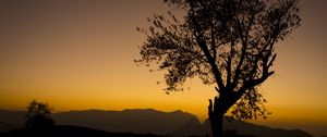 Preview wallpaper tree, branches, silhouette, mountains, sunset