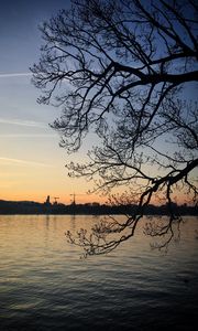 Preview wallpaper tree, branches, silhouette, river, evening