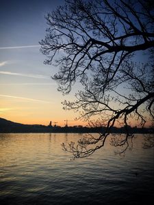 Preview wallpaper tree, branches, silhouette, river, evening