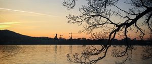 Preview wallpaper tree, branches, silhouette, river, evening