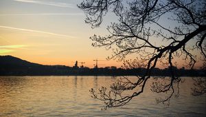 Preview wallpaper tree, branches, silhouette, river, evening