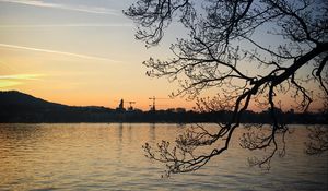 Preview wallpaper tree, branches, silhouette, river, evening