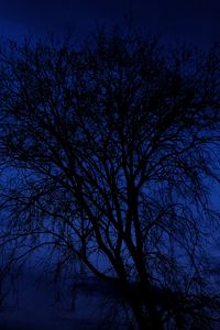 Preview wallpaper tree, branches, silhouettes, night, dark, blue