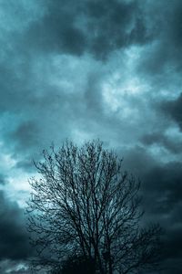 Preview wallpaper tree, branches, sky, clouds, evening