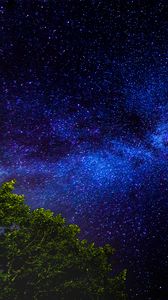Preview wallpaper tree, branches, starry sky, stars, night