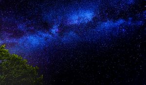 Preview wallpaper tree, branches, starry sky, stars, night
