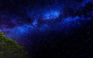 Preview wallpaper tree, branches, starry sky, stars, night