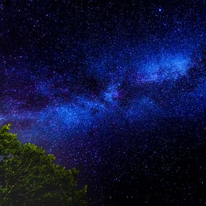 Preview wallpaper tree, branches, starry sky, stars, night