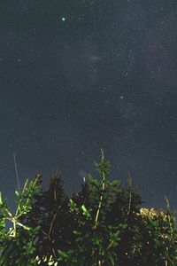 Preview wallpaper tree, branches, starry sky, night, dark