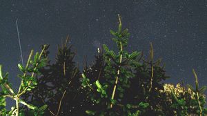 Preview wallpaper tree, branches, starry sky, night, dark