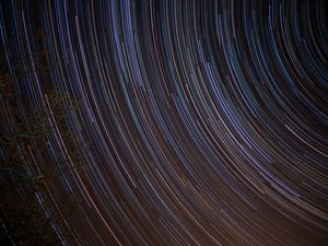 Preview wallpaper tree, branches, starry sky, freezelight, night