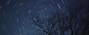 Preview wallpaper tree, branches, stars, freezelight, night, dark