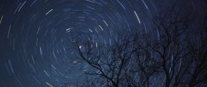 Preview wallpaper tree, branches, stars, freezelight, night, dark