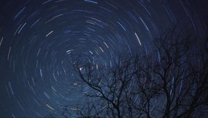 Preview wallpaper tree, branches, stars, freezelight, night, dark