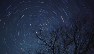 Preview wallpaper tree, branches, stars, freezelight, night, dark