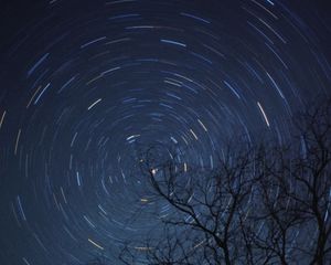 Preview wallpaper tree, branches, stars, freezelight, night, dark