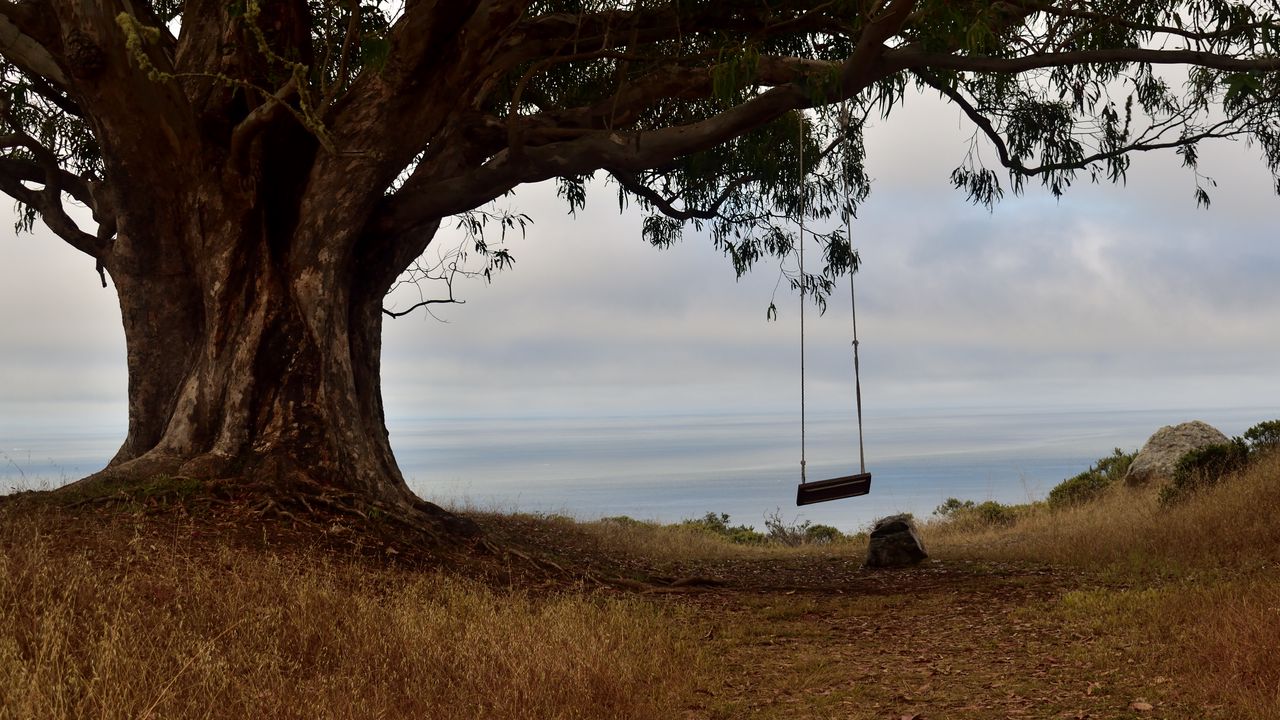Wallpaper tree, branches, swing