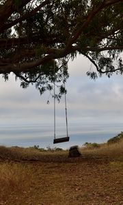Preview wallpaper tree, branches, swing