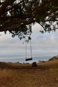 Preview wallpaper tree, branches, swing