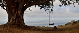 Preview wallpaper tree, branches, swing