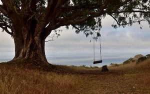 Preview wallpaper tree, branches, swing