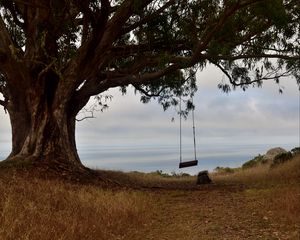 Preview wallpaper tree, branches, swing