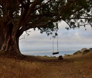 Preview wallpaper tree, branches, swing