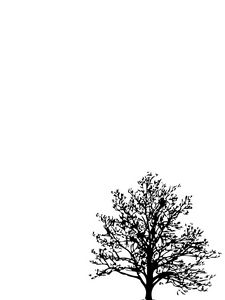 Preview wallpaper tree, branches, vector